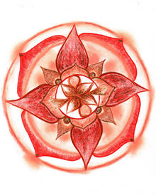 Transformace minulosti